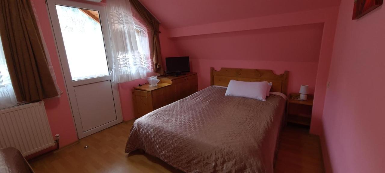 Pensiunea Aurora - Great Hostel Voineasa Εξωτερικό φωτογραφία