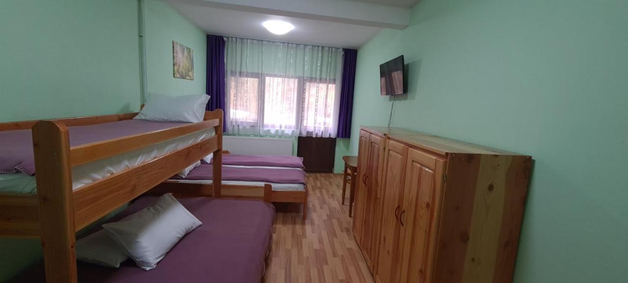 Pensiunea Aurora - Great Hostel Voineasa Εξωτερικό φωτογραφία