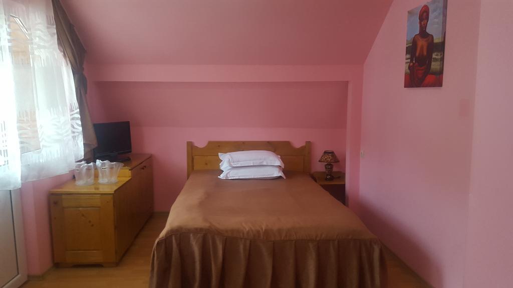 Pensiunea Aurora - Great Hostel Voineasa Εξωτερικό φωτογραφία